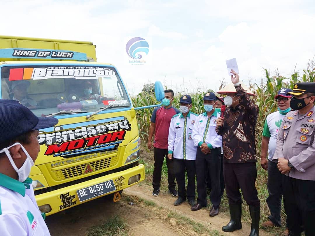 Bupati Lampung Tengah H. Musa Ahmad, S.Sos. Hadiri Acara Panen Raya Jagung di Kecamatan Seputih Agung