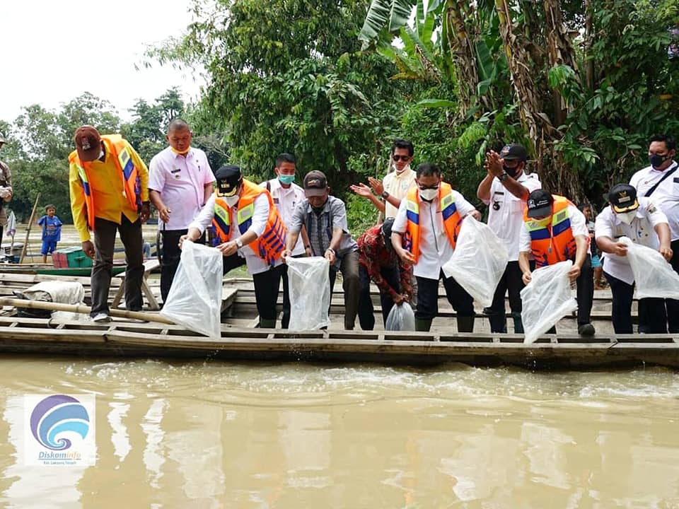 Bupati Lampung Tengah Musa Ahmad Tabur 10.000 Benih Ikan Nila Di Kali Way Seputih