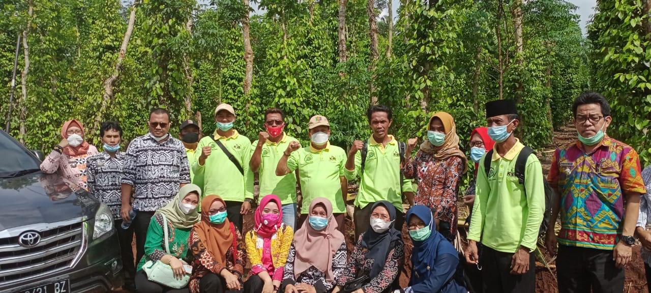 Dinas Perkebunan Provinsi Lampung Lakukan Pembinaan Petani Lada Di Lampung Timur